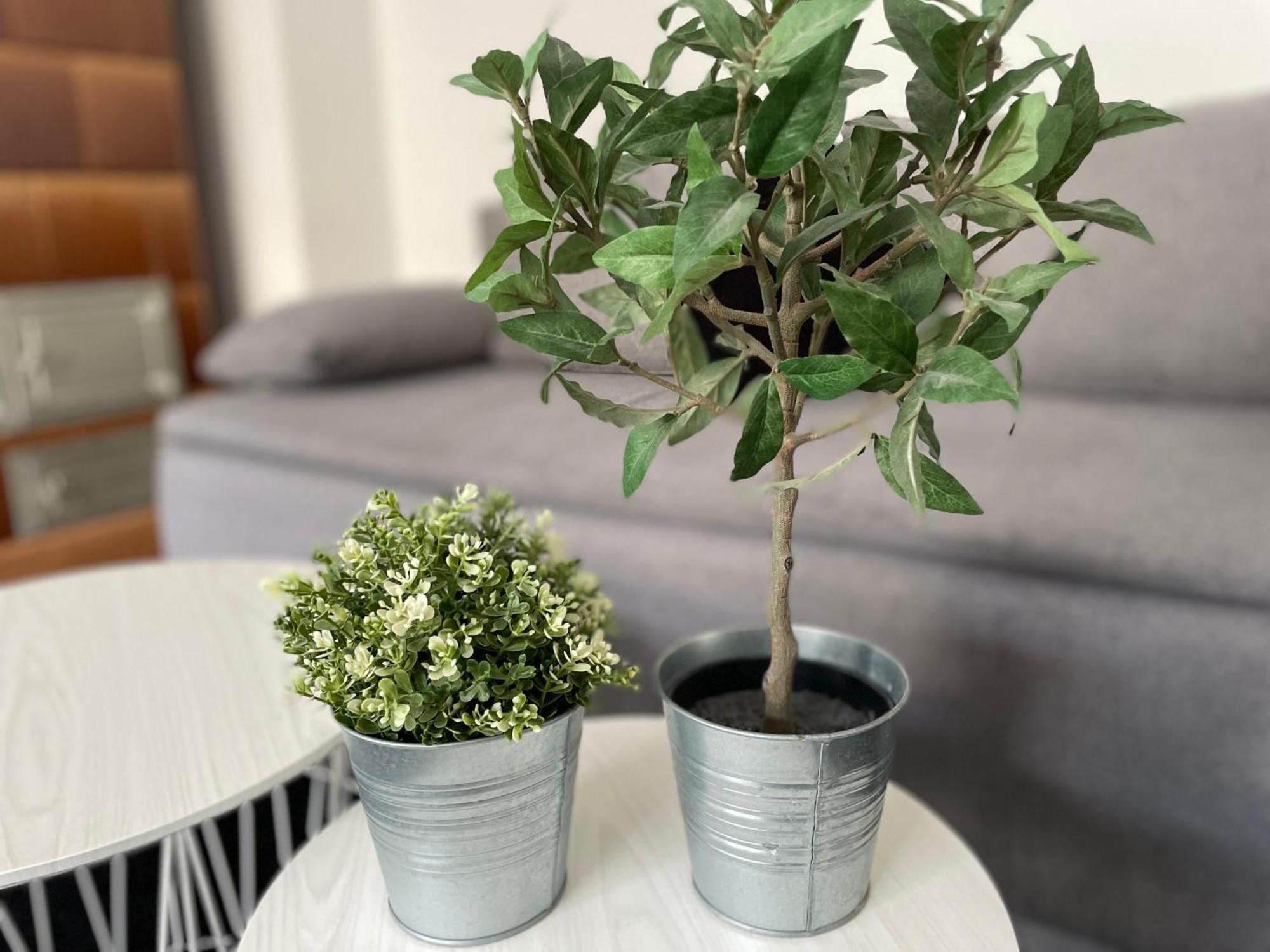 Sonne & Beton Apartment Berlin Ngoại thất bức ảnh